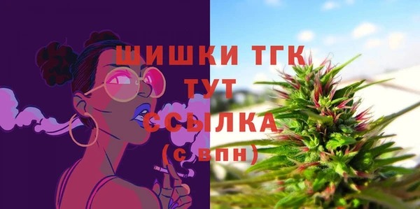 дурь Покачи