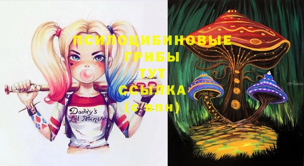 амф Алексин